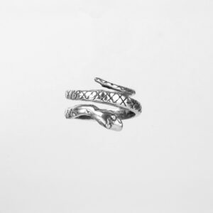 Anillo serpiente - Imagen 1