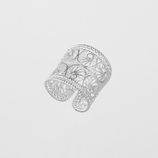 Anillos 3d_0000_Relleno generativo