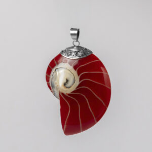 Colgante Concha Nautilus Rojo - Imagen 1